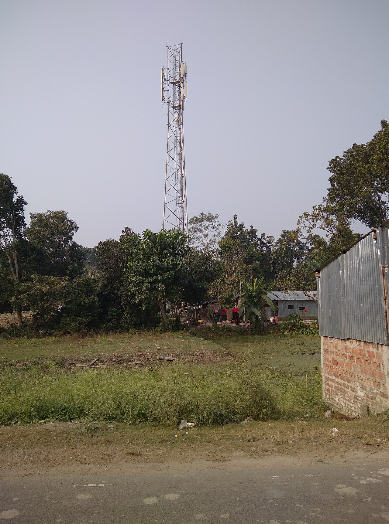 Jio mobile tower in Mathurapur, West Bengal: archive photograph